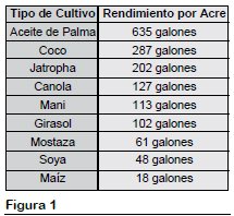 figura 1